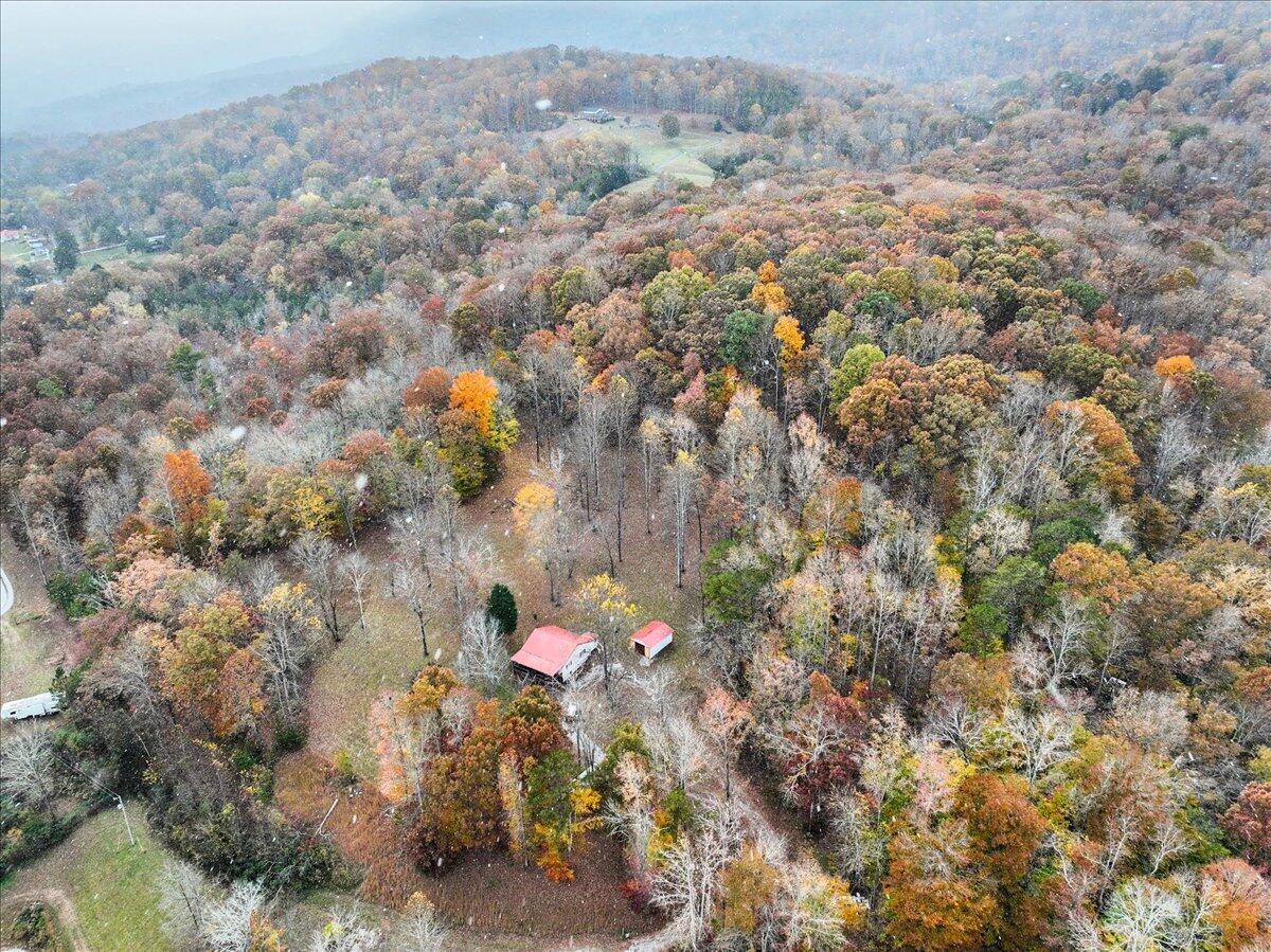 29 Whitetail Ridge Road Pikeville, TN 37367 - Photo 30 of 31 30-Pinnacle Tour - 29 White Tail - 30