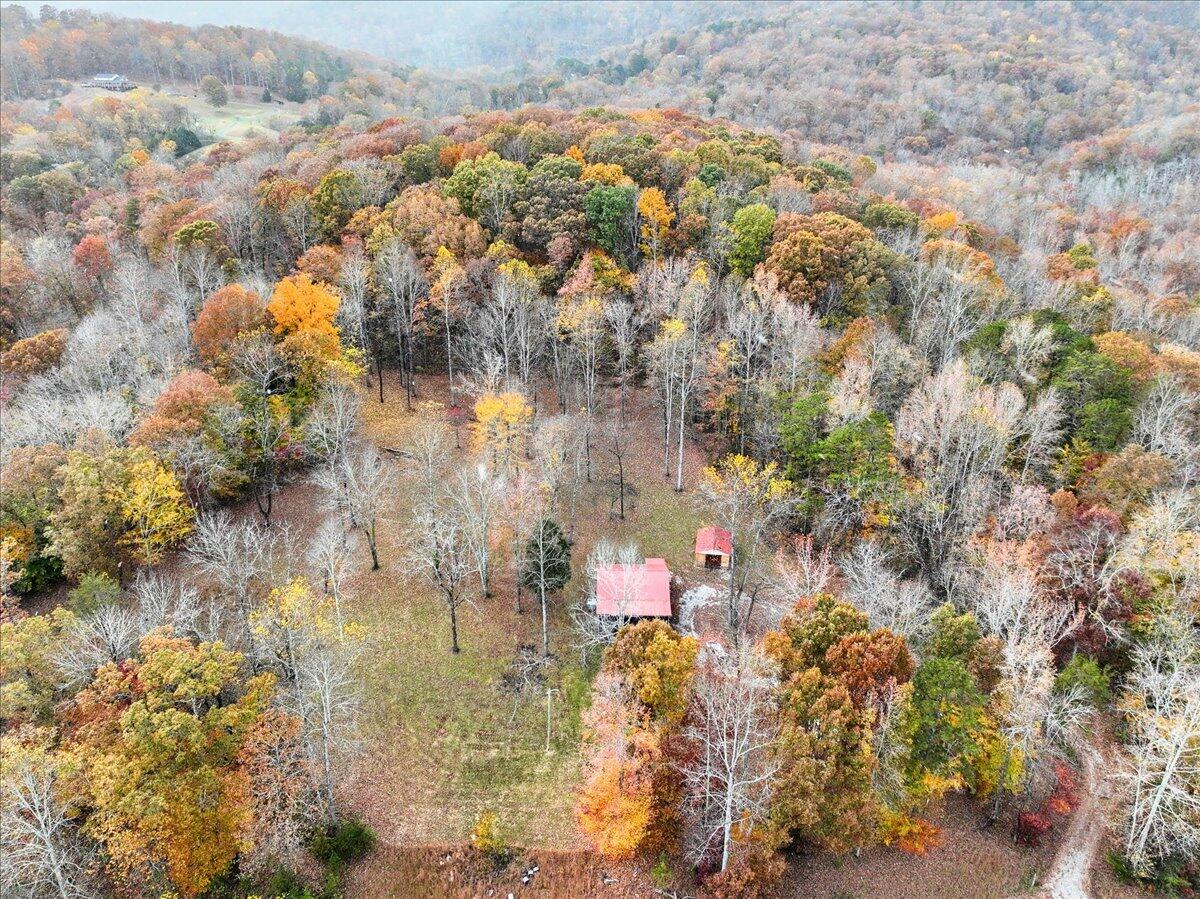 29 Whitetail Ridge Road Pikeville, TN 37367 - Photo 31 of 31 31-Pinnacle Tour - 29 White Tail - 31