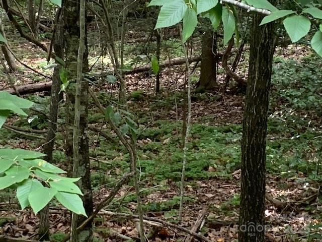 7.67-ac Holbert Cove Road, Unit 7 67 AC Saluda, NC 28773 - Photo 5 of 10 a view of a garden