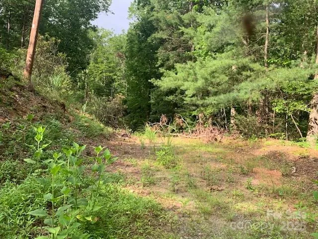 a view of yard with large trees