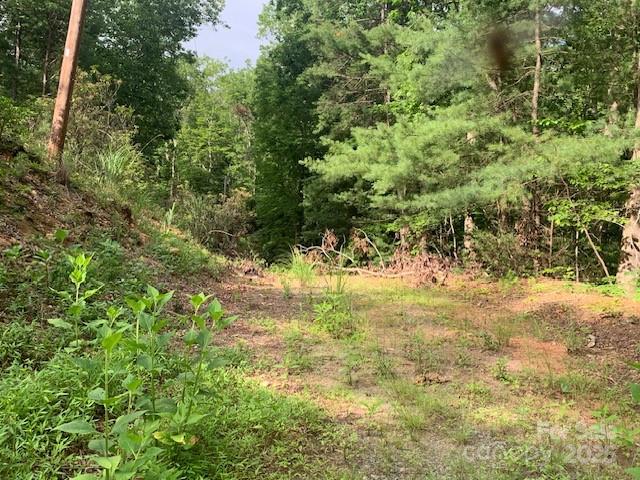 7.67-ac Holbert Cove Road, Unit 7 67 AC Saluda, NC 28773 - Photo 10 of 10 a view of yard with large trees