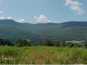 0 North Danby Mt Road Dorset, VT 05251 - Photo 1 of 1 Gallery Image 1