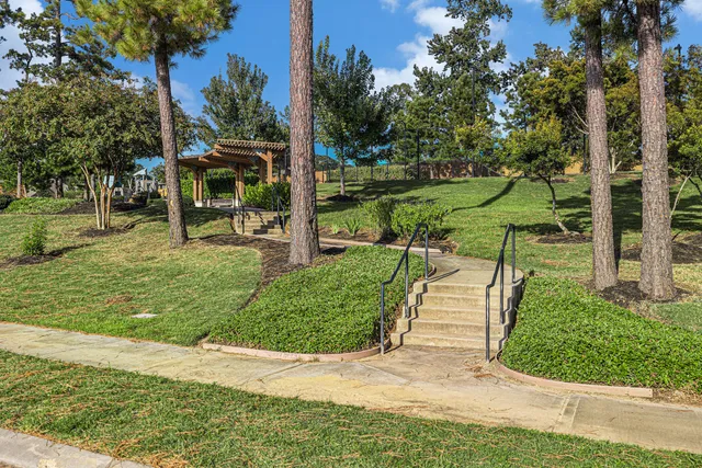 a view of a park with large trees