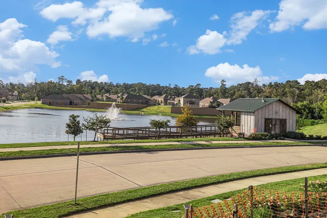 a view of city with ocean