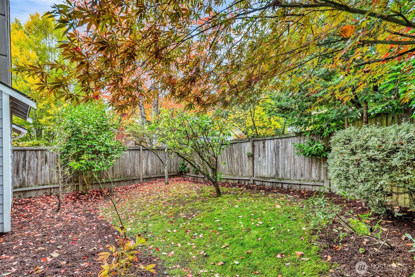 3212 200th Place Southeast Bothell, WA 98012 - Photo 37 of 40 a view of a backyard