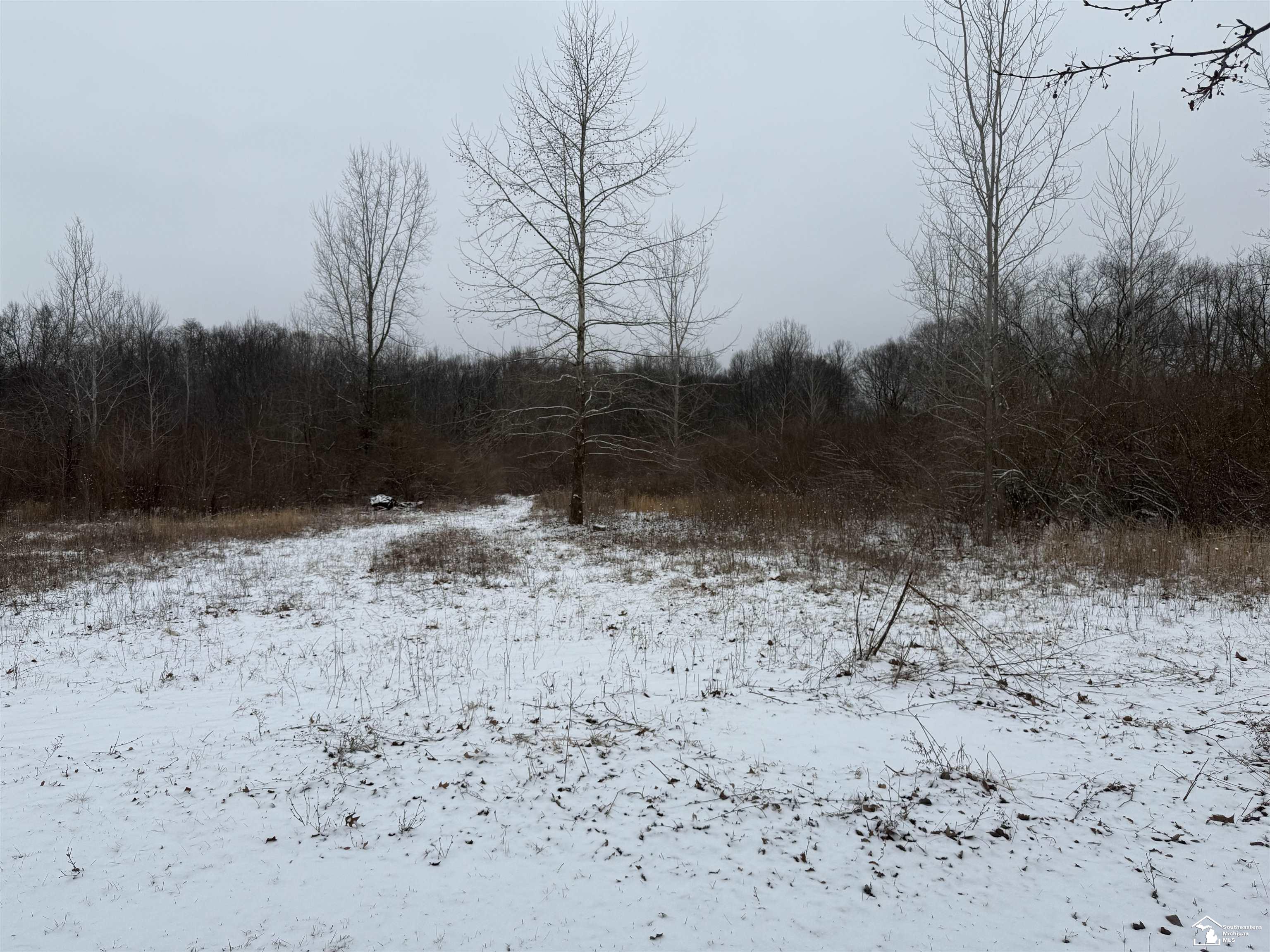 12122 Ostrander Road Maybee, MI 48159 - Photo 17 of 19 Gallery Image 17