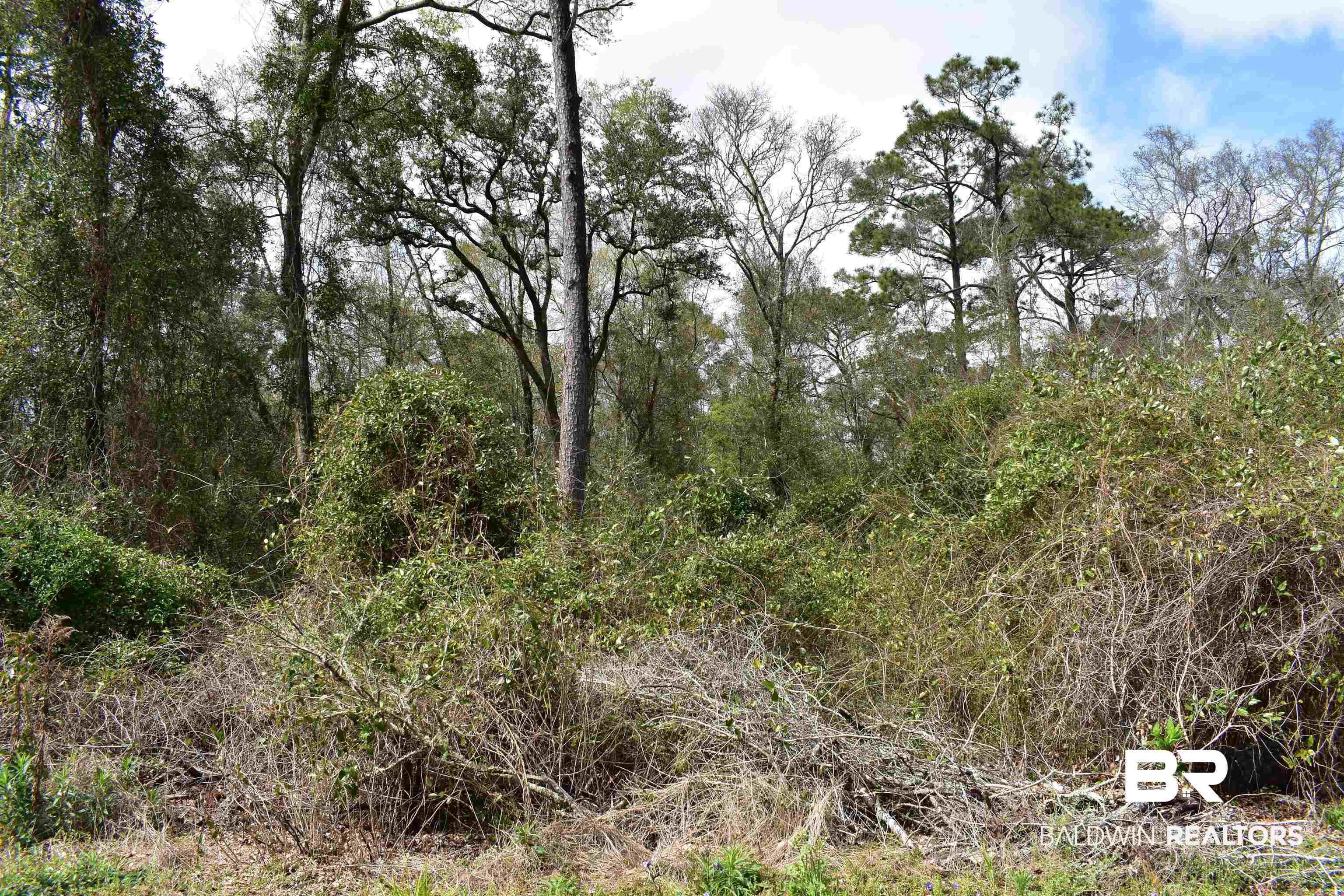0 Antioch Road Fairhope, AL 36532 - Photo 9 of 21