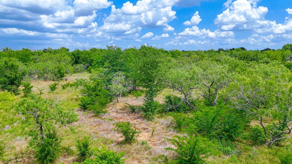 Lot 123 Palmito Ranch Road Corsicana, TX 75110 - Photo 19 of 23 a view of a big yard with plants and a tree