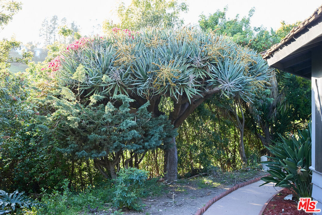 11222 Bellagio Road Los Angeles, CA 90049 - Photo 11 of 13