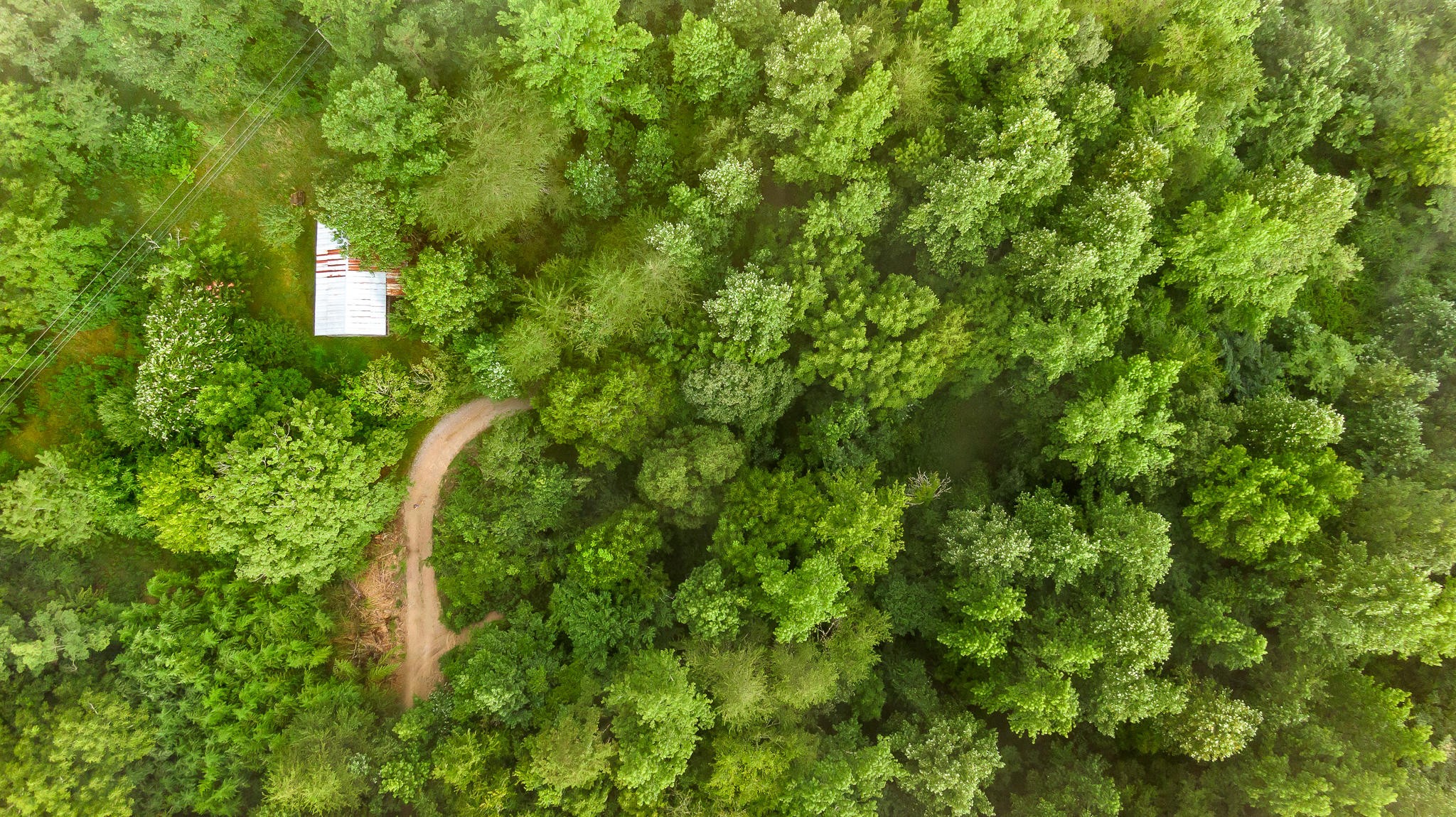 0 Massengale Point Road Chattanooga, TN 37419 - Photo 11 of 17 Gallery Image 11