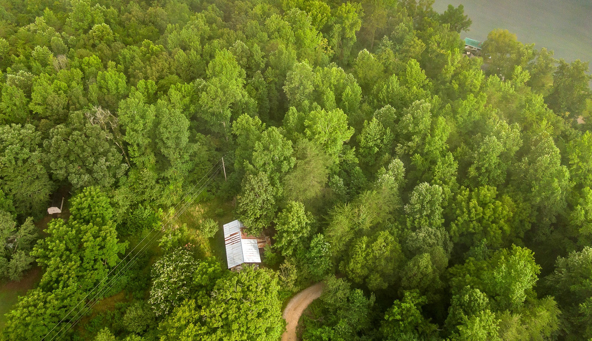 0 Massengale Point Road Chattanooga, TN 37419 - Photo 6 of 17 Gallery Image 6