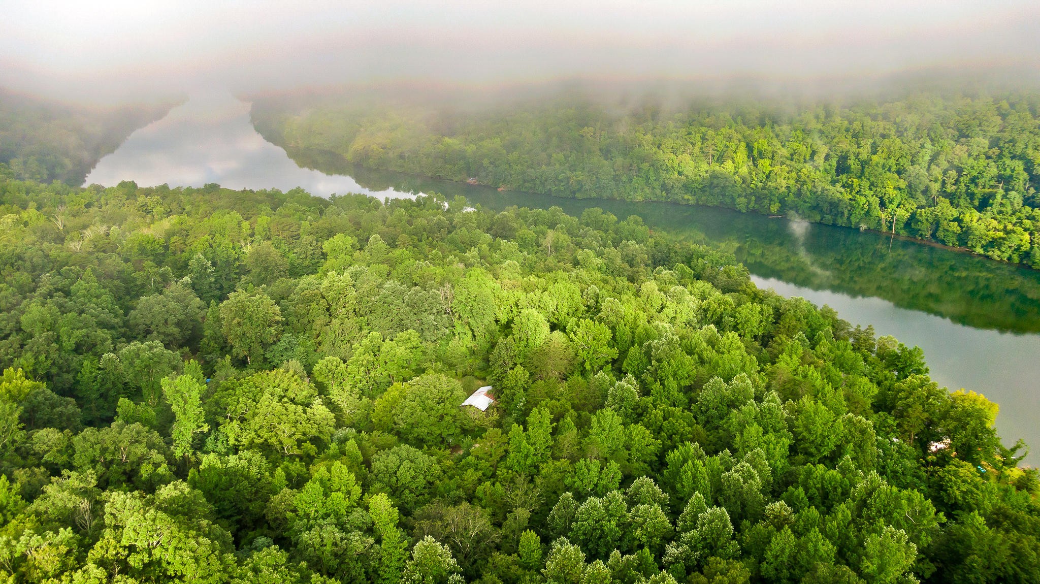 0 Massengale Point Road Chattanooga, TN 37419 - Photo 9 of 17 Gallery Image 9