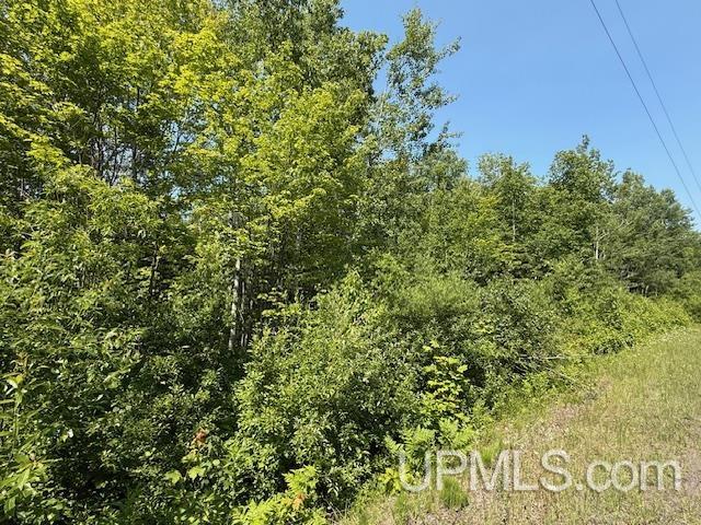 8690 Freda Road Atlantic Mine, MI 49905 - Photo 10 of 23 Gallery Image 10