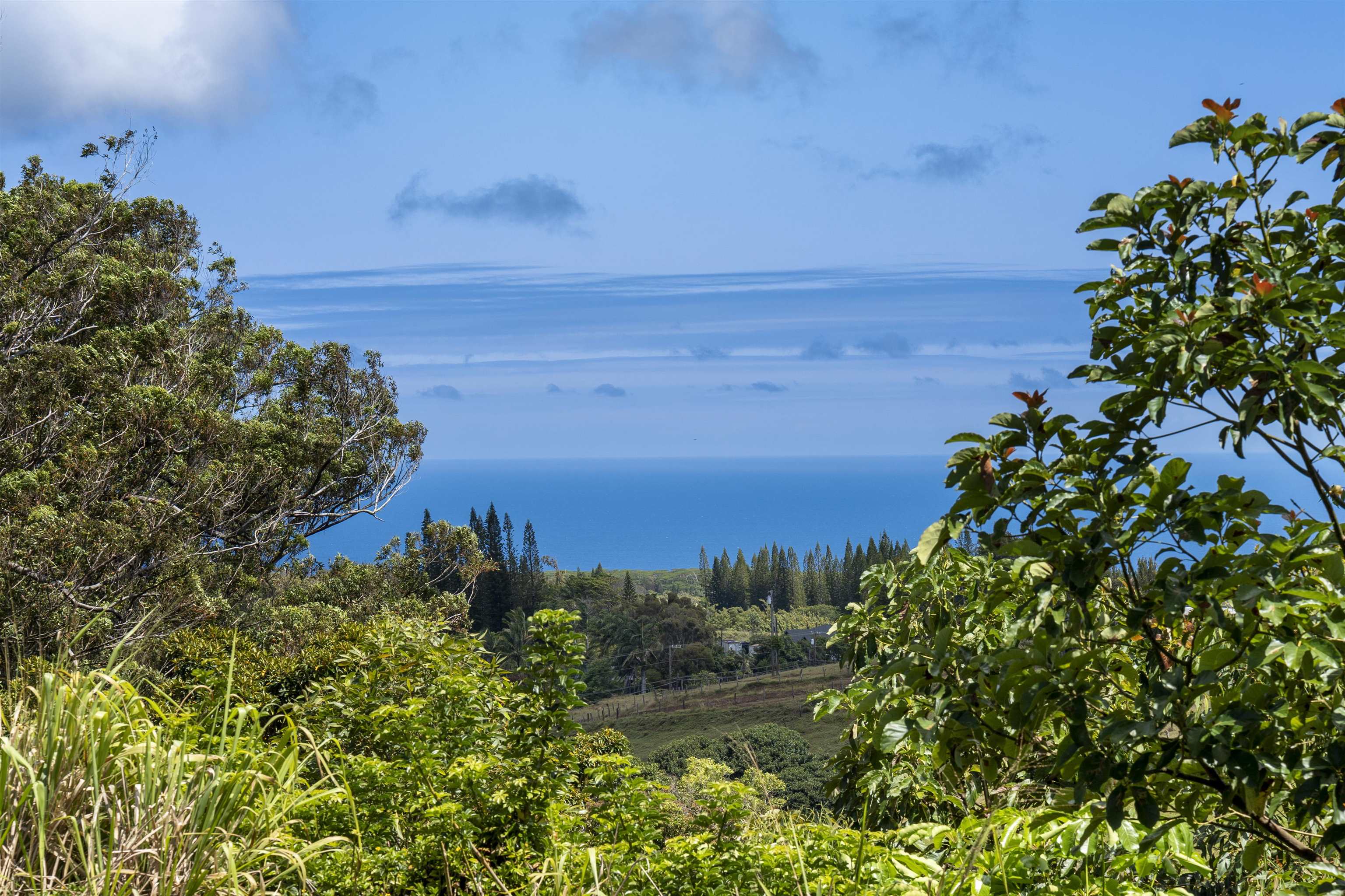 57 Awalau Road, Unit A Haiku, HI 96708 - Photo 11 of 22 a view of a yard with a house in back