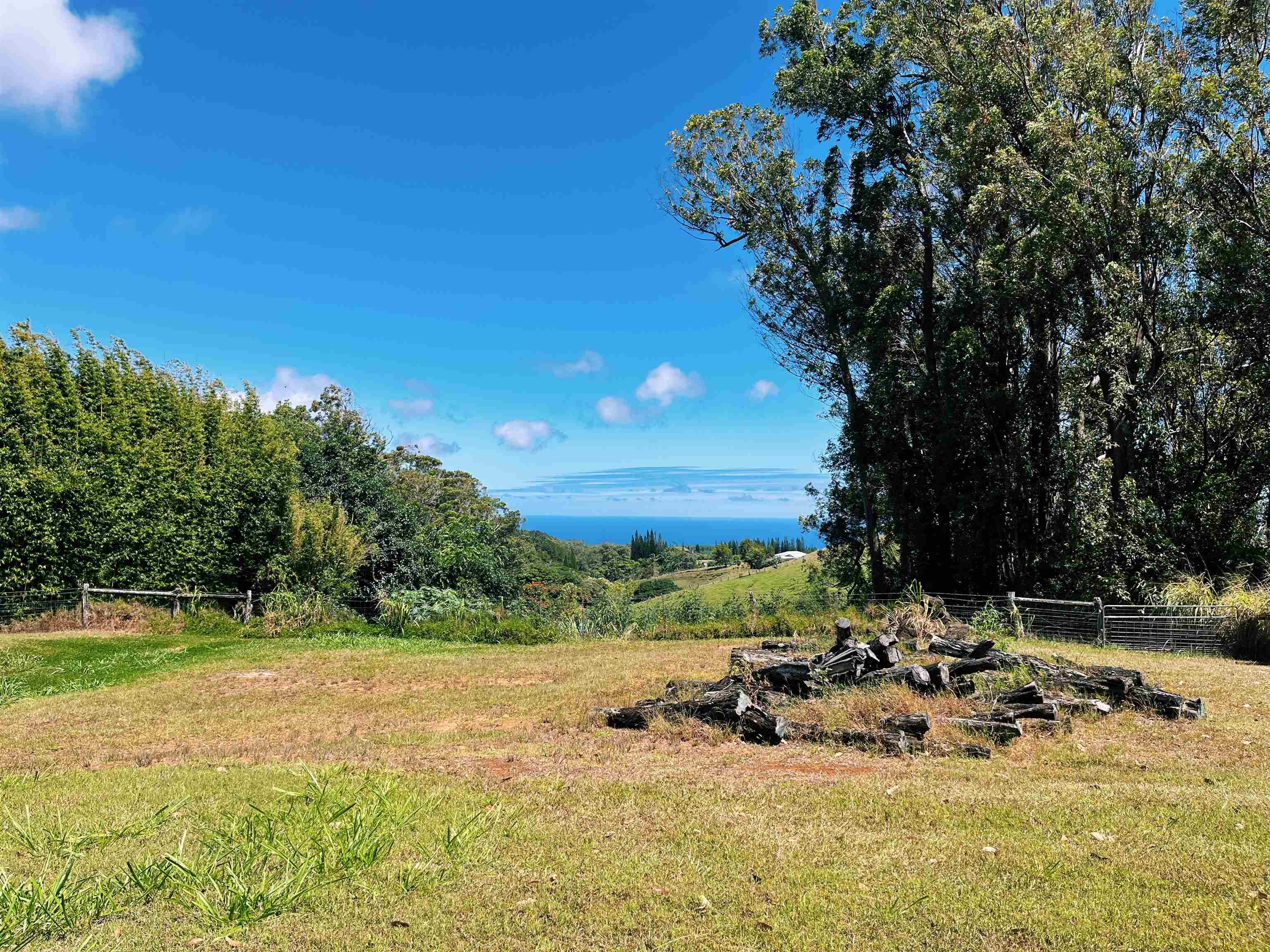 57 Awalau Road, Unit A Haiku, HI 96708 - Photo 12 of 22 a view of a yard with a tree