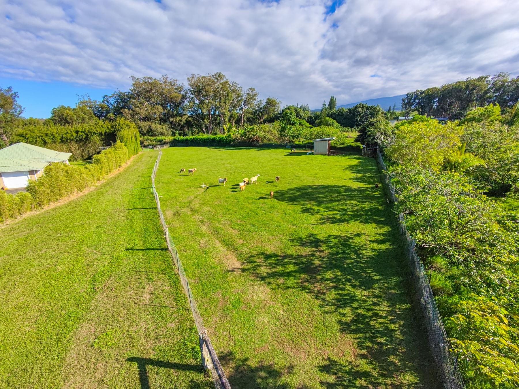 57 Awalau Road, Unit A Haiku, HI 96708 - Photo 2 of 22 a view of yard with swimming pool and green space