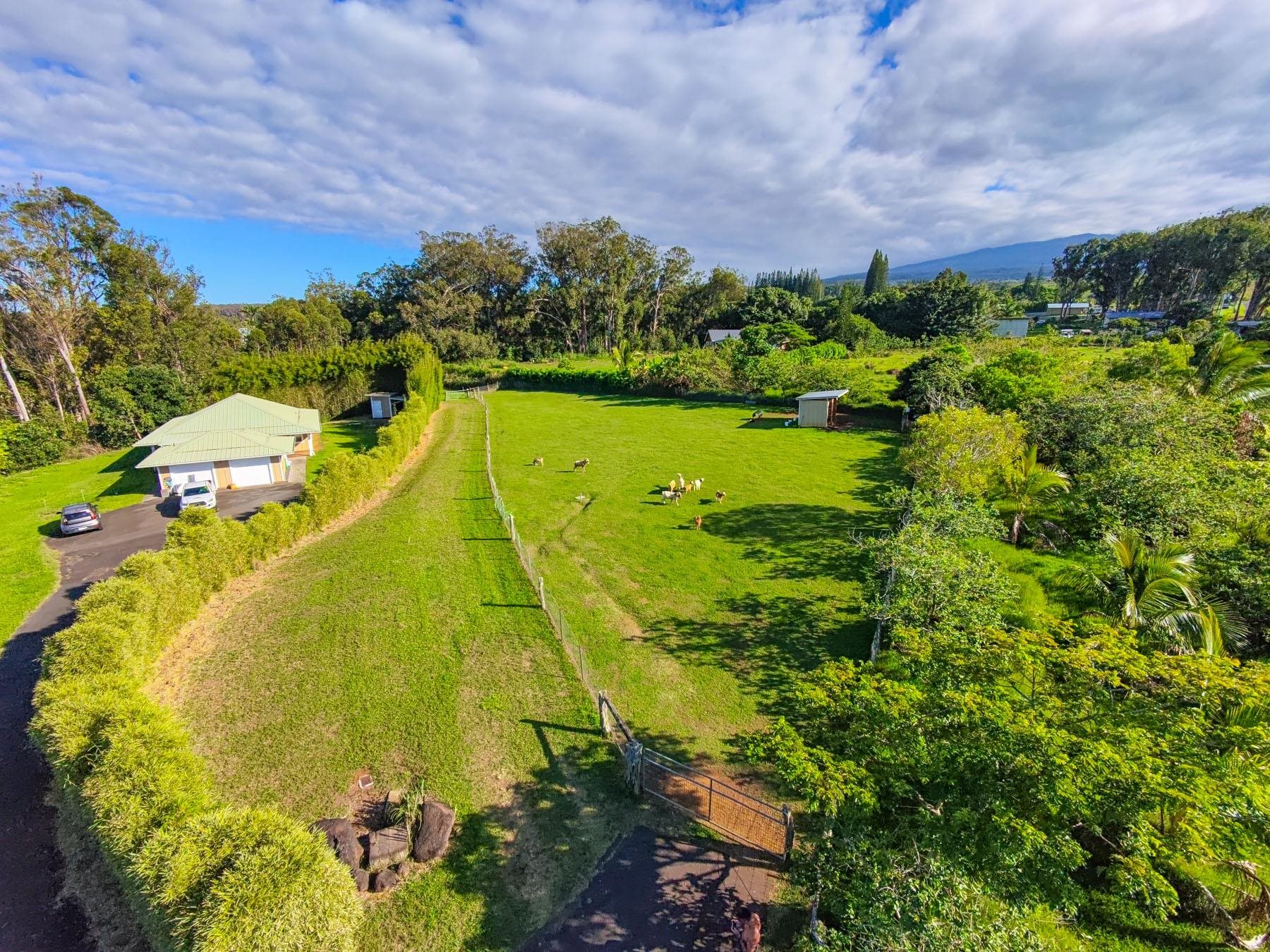 57 Awalau Road, Unit A Haiku, HI 96708 - Photo 3 of 22 a view of a swimming pool with a yard and plants