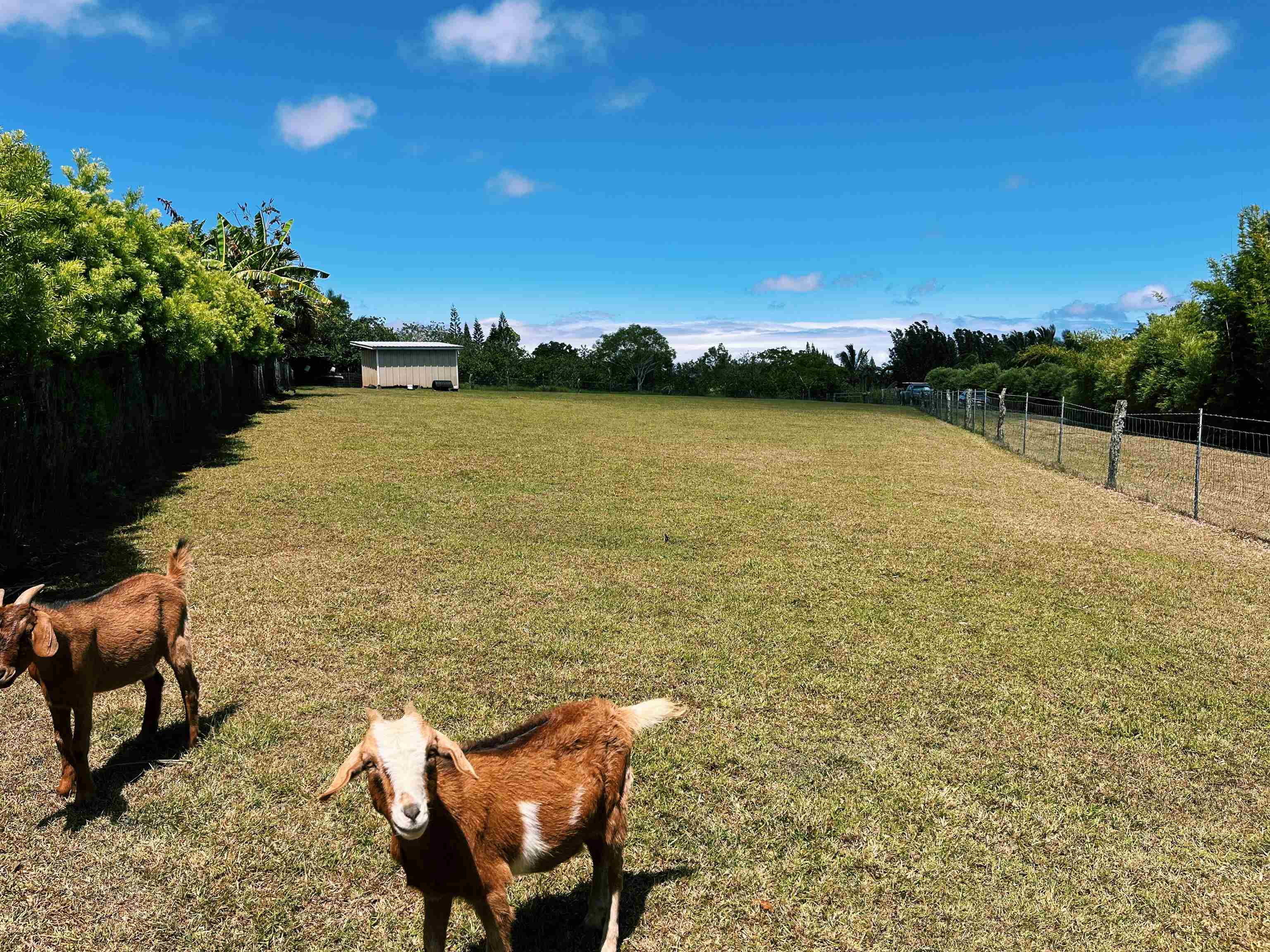 57 Awalau Road, Unit A Haiku, HI 96708 - Photo 8 of 22 a view of a lake with outdoor space