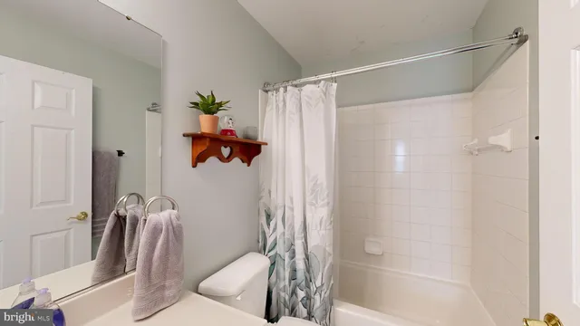 a bathroom with a shower and a toilet