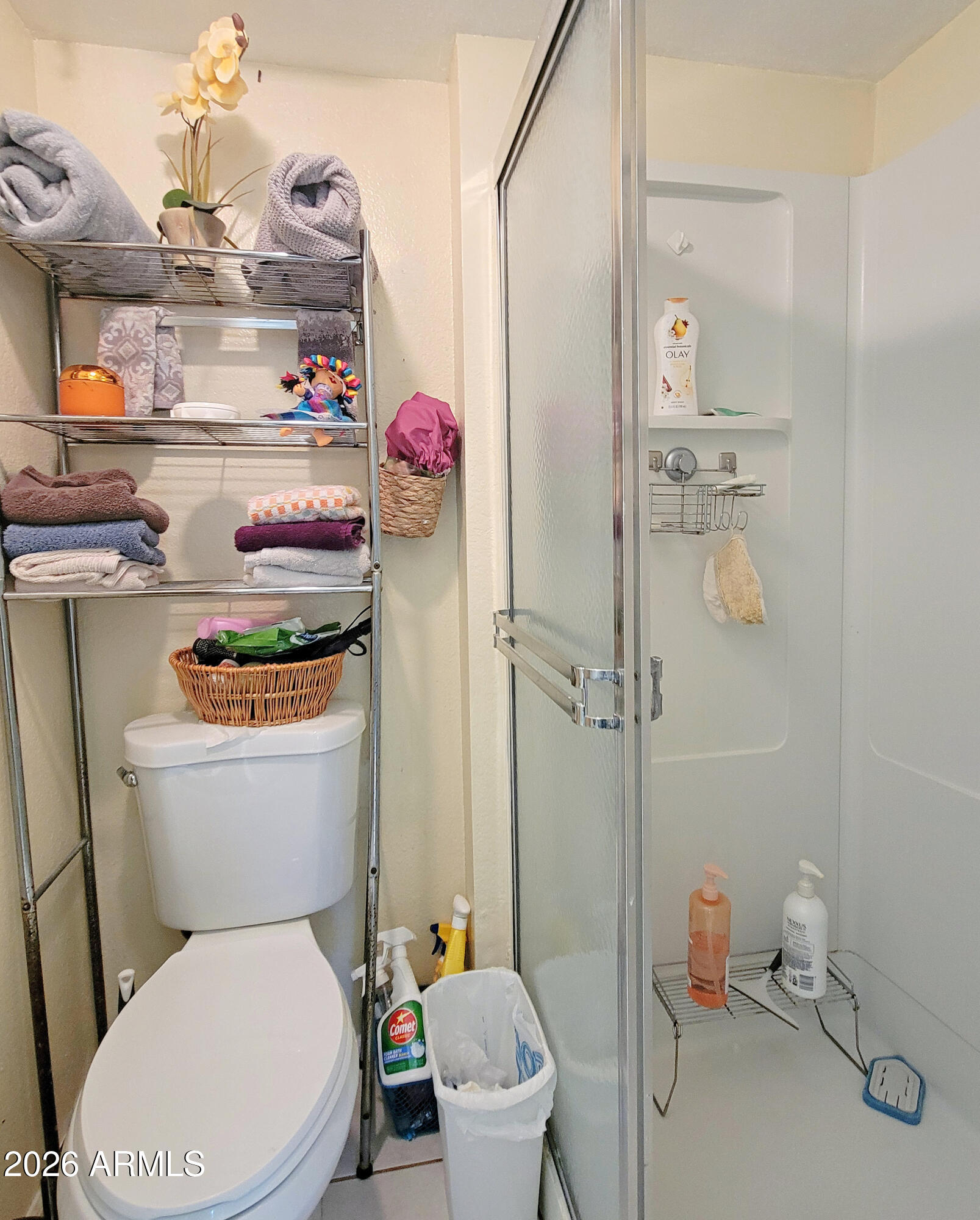 533 West Guadalupe Road, Unit 1053 Mesa, AZ 85210 - Photo 14 of 18 Primary Bathroom