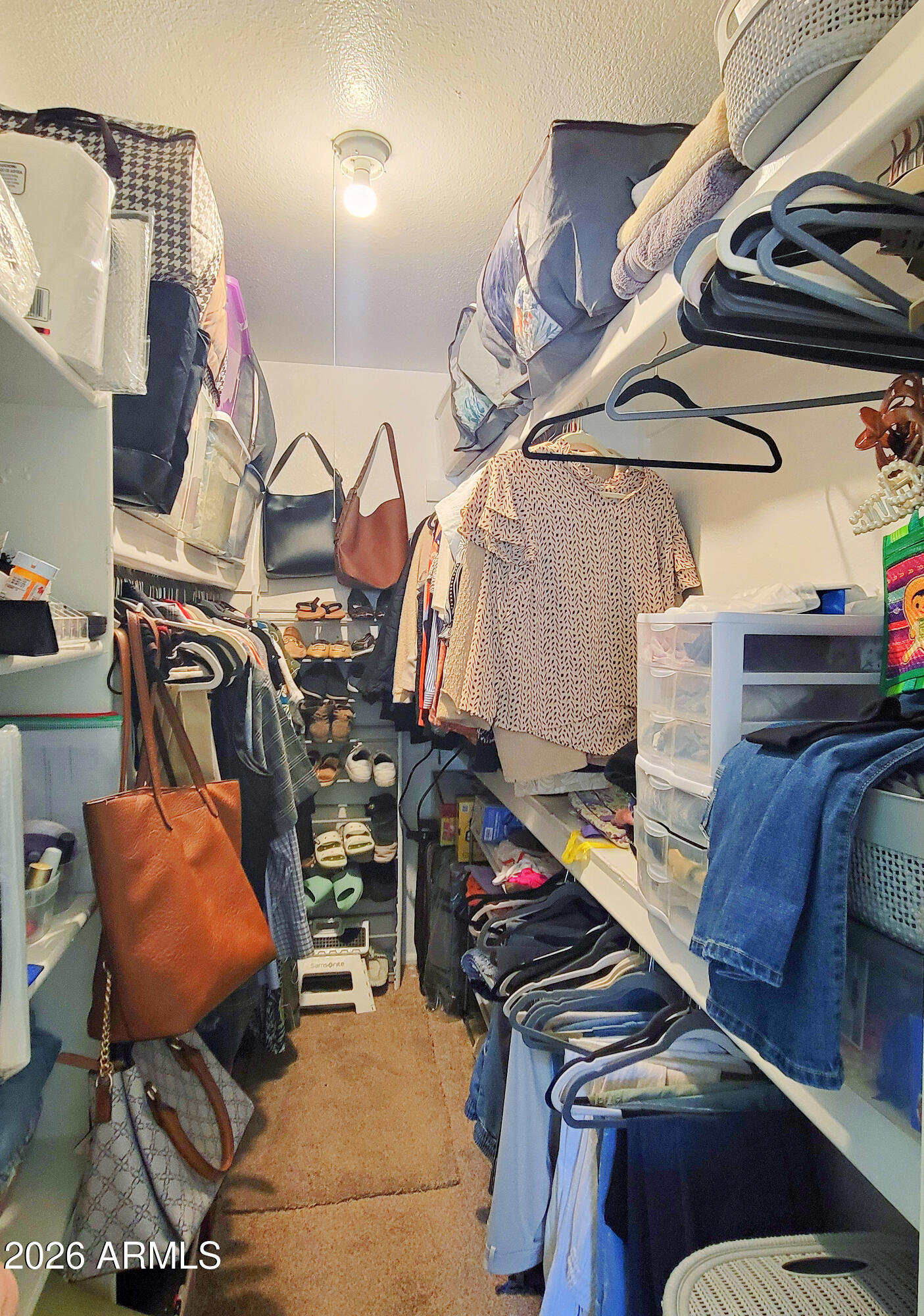 533 West Guadalupe Road, Unit 1053 Mesa, AZ 85210 - Photo 15 of 18 Primary Bedroom Walk-in Closet