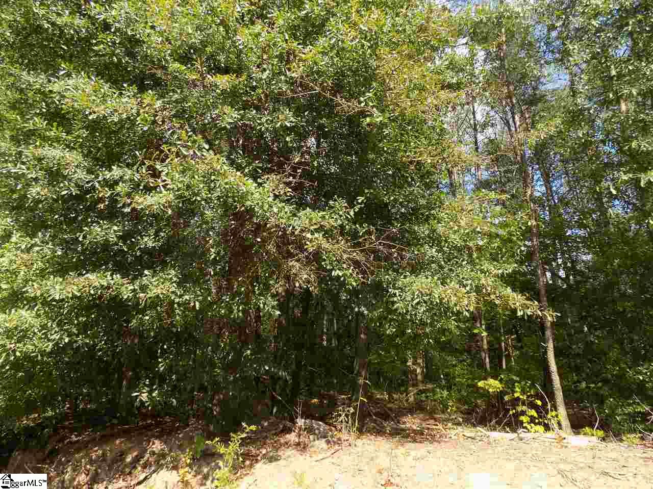 0 Boling Road Taylors, SC 29687 - Photo 5 of 6 Gallery Image 5