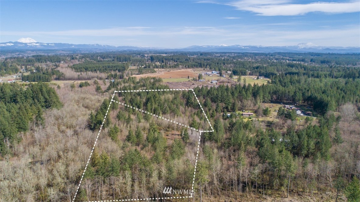 232 Palmer Road Napavine, WA 98532 - Photo 2 of 15