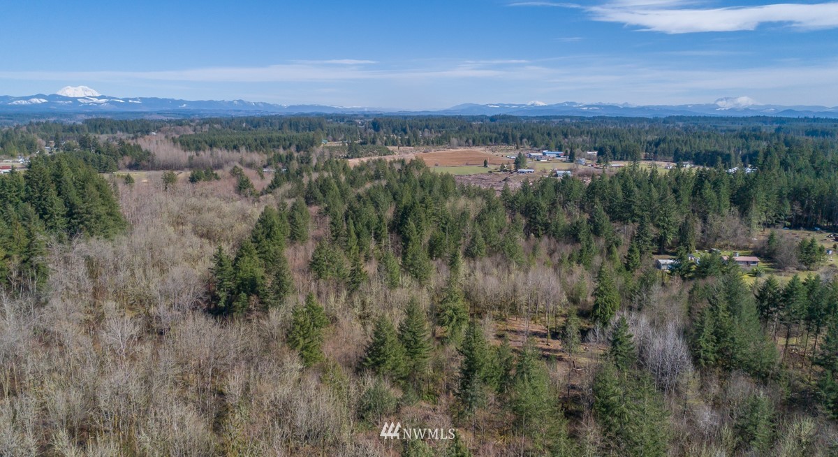 232 Palmer Road Napavine, WA 98532 - Photo 11 of 15