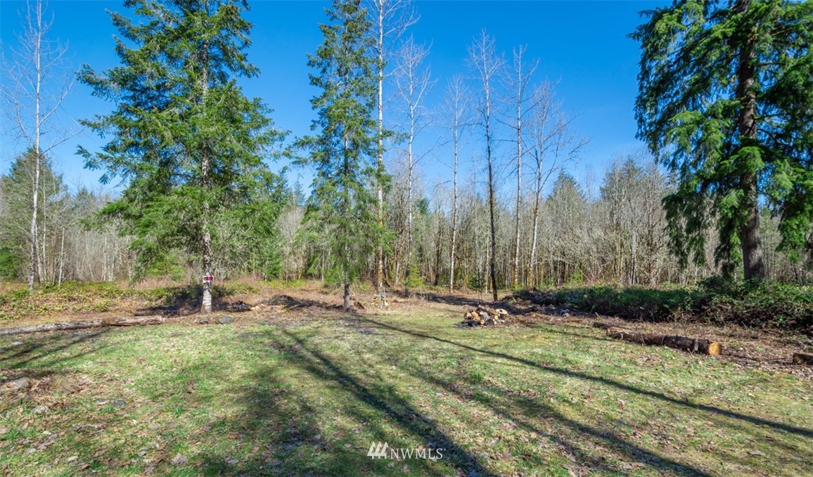 232 Palmer Road Napavine, WA 98532 - Photo 4 of 15