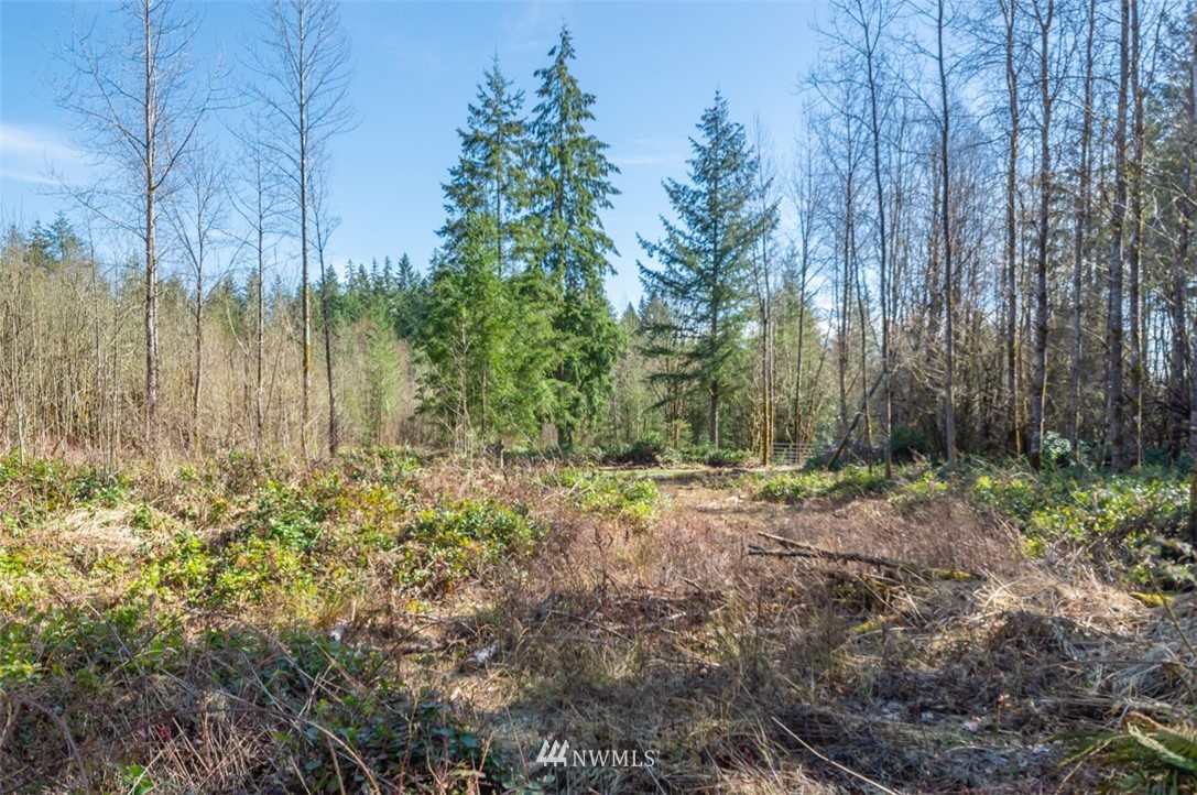232 Palmer Road Napavine, WA 98532 - Photo 6 of 15