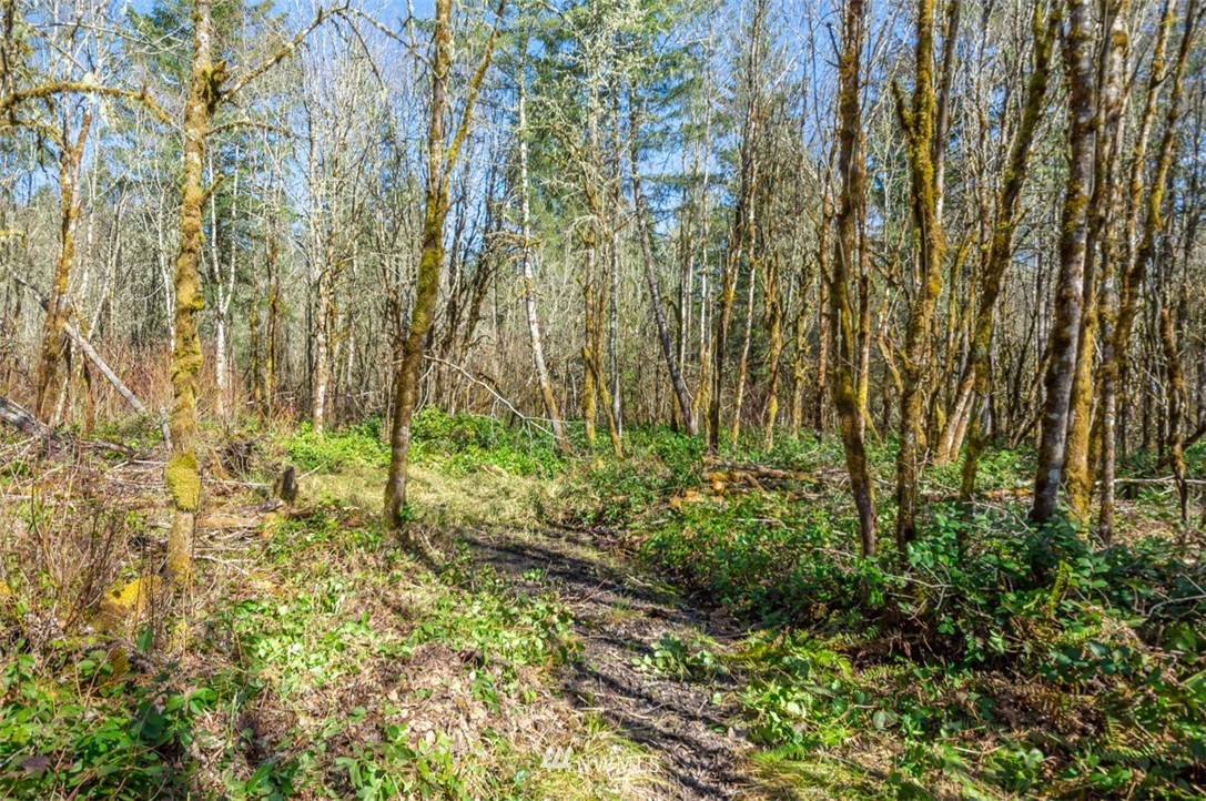 232 Palmer Road Napavine, WA 98532 - Photo 7 of 15