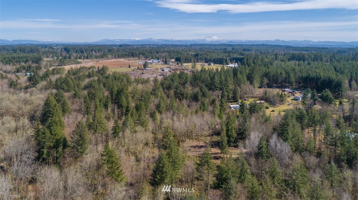 232 Palmer Road Napavine, WA 98532 - Photo 10 of 15