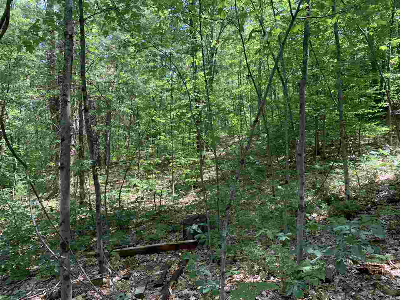 519 North Hawkins Road Luther, MI 49656 - Photo 36 of 39 1877283-35.JPG