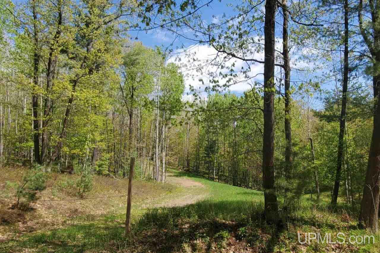 Tbd Hydraulic Falls Road Iron Mountain, MI 49802 - Photo 1 of 7