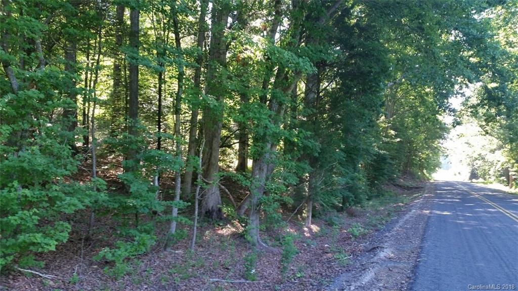 42 Acres Killian Road Edgemoor, SC 29712 - Photo 2 of 14 a view of a forest that has large trees
