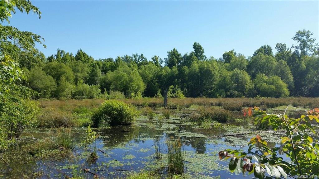 42 Acres Killian Road Edgemoor, SC 29712 - Photo 11 of 14 a view of a lake view