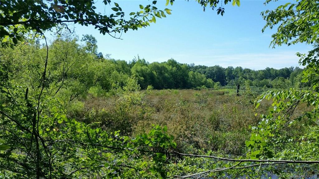 42 Acres Killian Road Edgemoor, SC 29712 - Photo 12 of 14 a view of a field of grass and trees