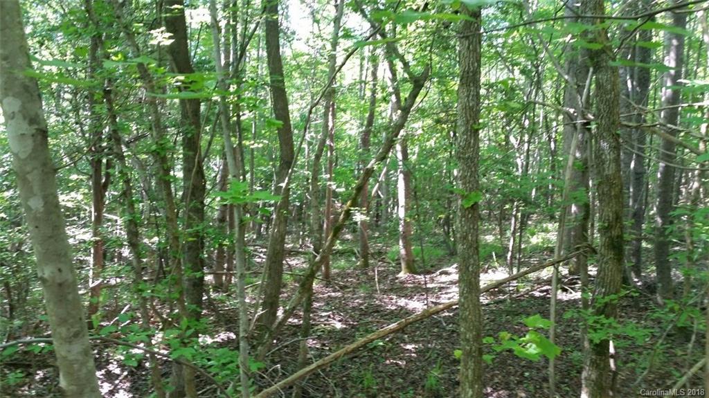 42 Acres Killian Road Edgemoor, SC 29712 - Photo 13 of 14 a view of forest