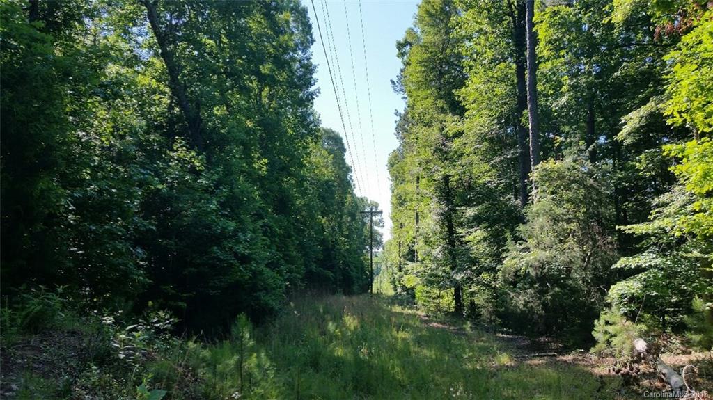 42 Acres Killian Road Edgemoor, SC 29712 - Photo 5 of 14 a view of a yard