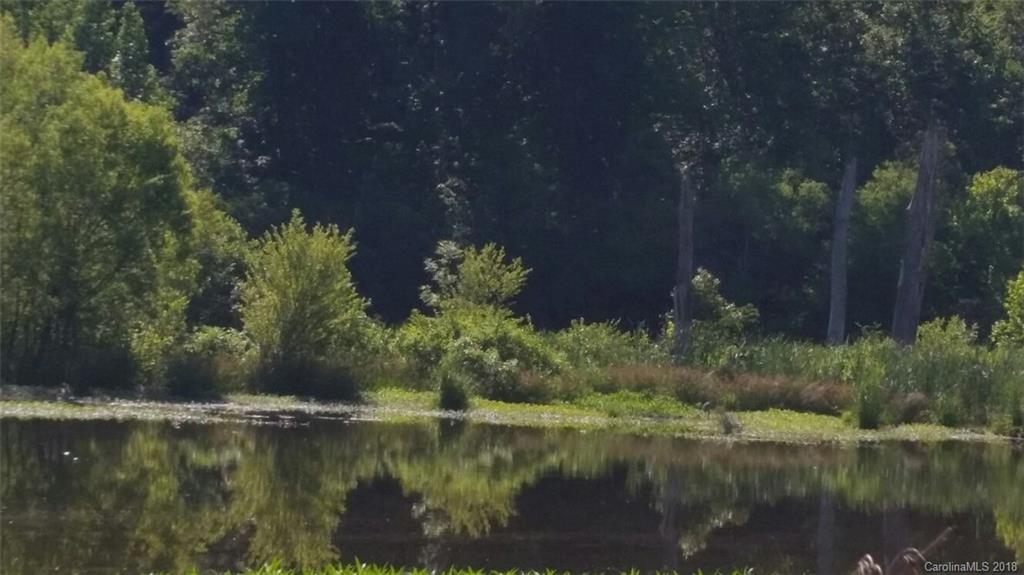 42 Acres Killian Road Edgemoor, SC 29712 - Photo 6 of 14 a view of lake background with house