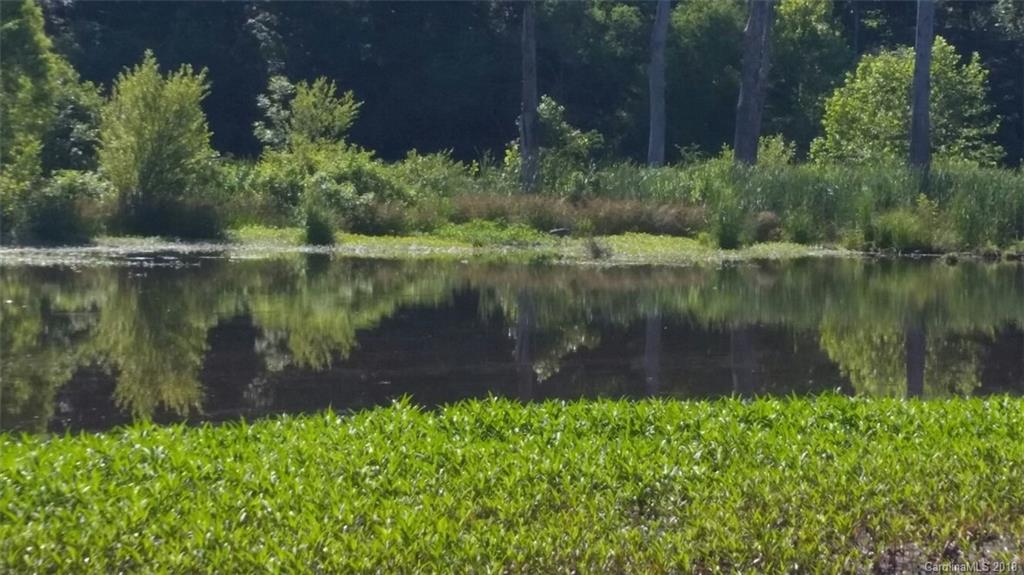 42 Acres Killian Road Edgemoor, SC 29712 - Photo 7 of 14 a view of a lake