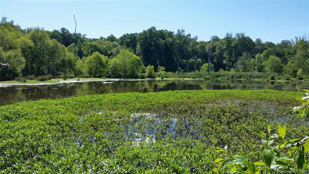 42 Acres Killian Road Edgemoor, SC 29712 - Photo 9 of 14 a view of a water pond with green yard