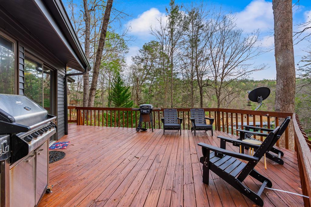 899 Lonesome Pine Road Murphy, NC 28906 - Photo 65 of 87