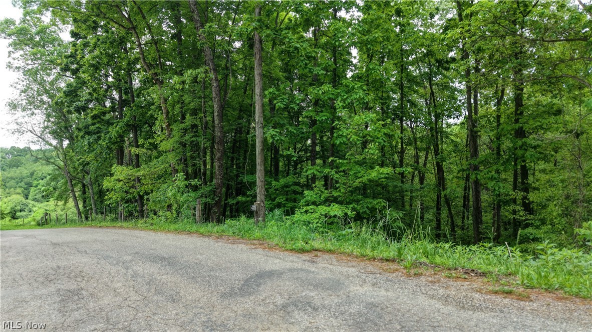 Tatman Road Uhrichsville, OH 44683 - Photo 3 of 11