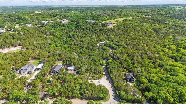 a view of a big yard with plants and large trees