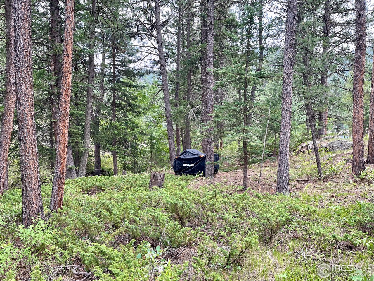 0 Hemlock Drive Lyons, CO 80540 - Photo 11 of 30 a view of a backyard with large trees
