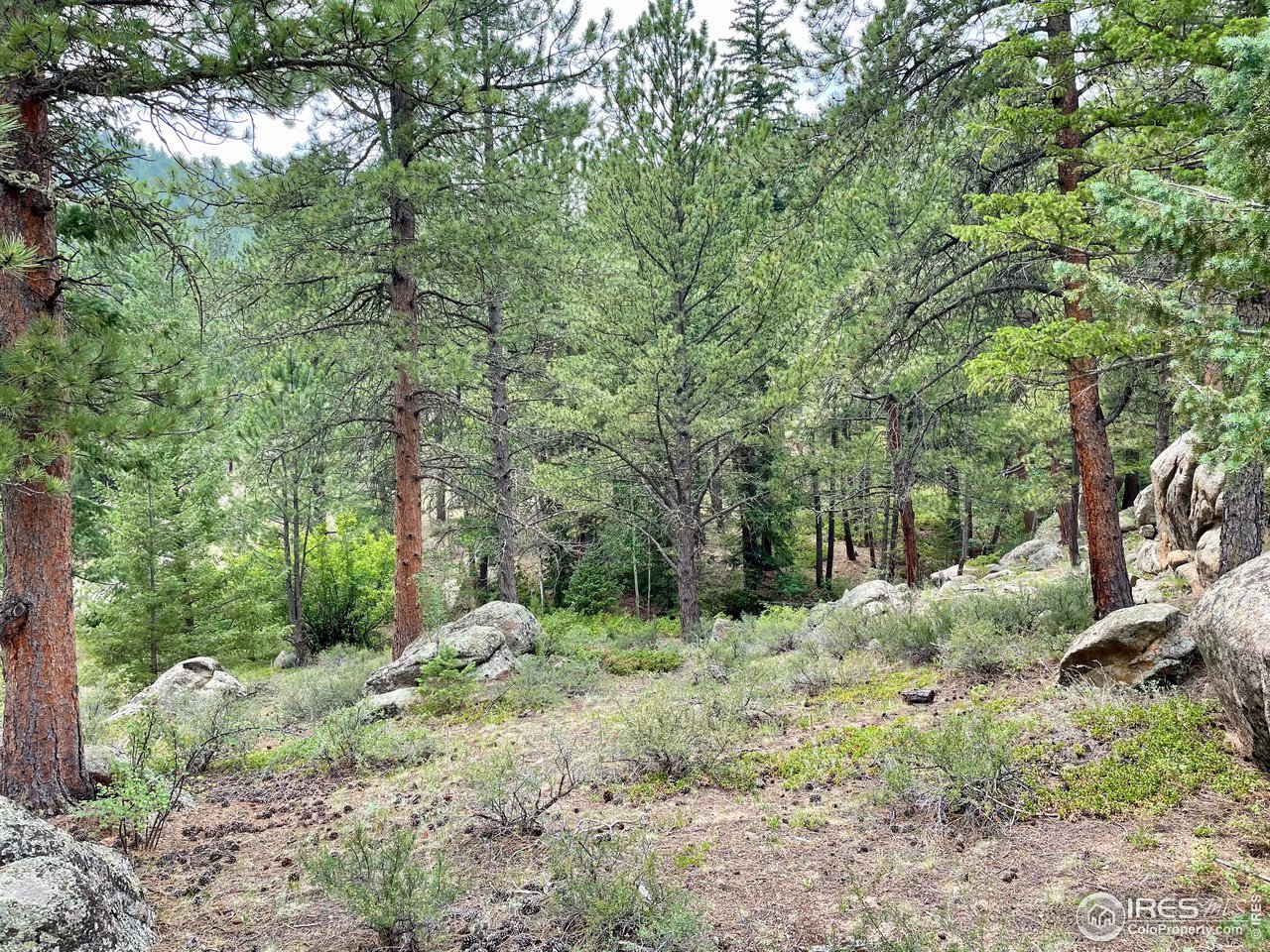 0 Hemlock Drive Lyons, CO 80540 - Photo 15 of 30 a backyard of a house with lots of green space