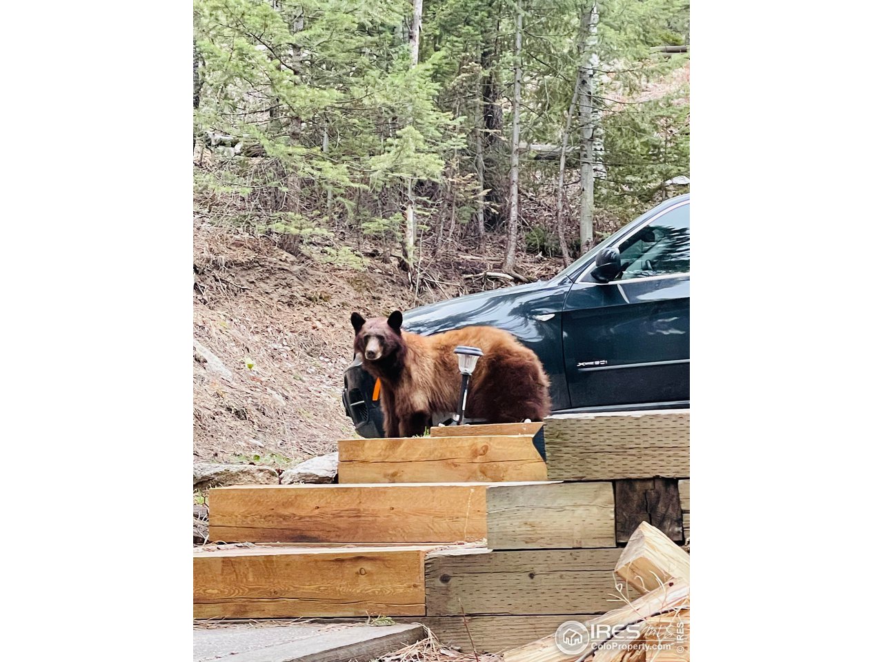 0 Hemlock Drive Lyons, CO 80540 - Photo 29 of 30 a view of entryway