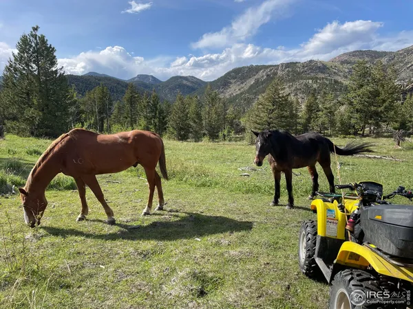 a view of yard from deck