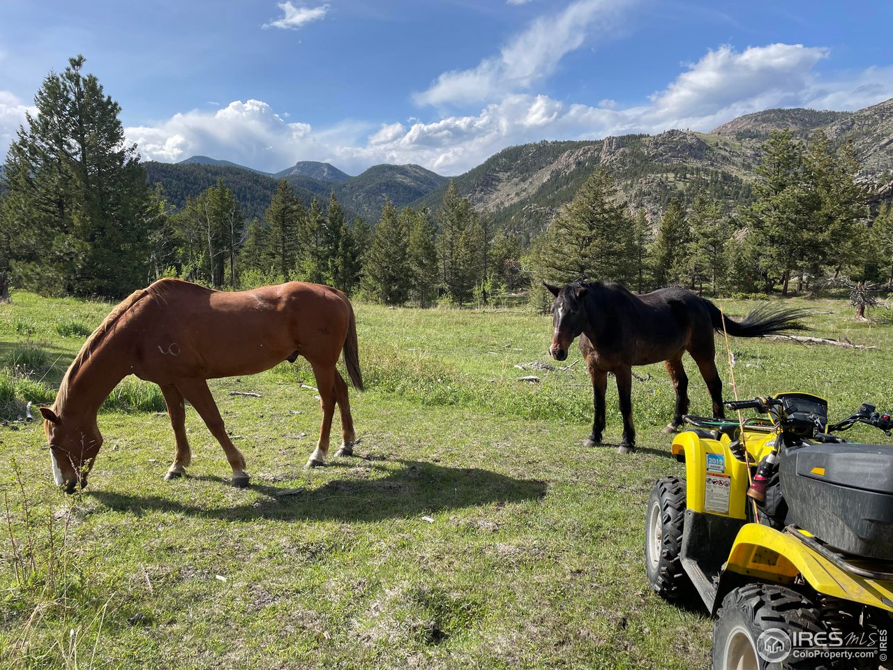 0 Hemlock Drive Lyons, CO 80540 - Photo 30 of 30 a view of yard from deck